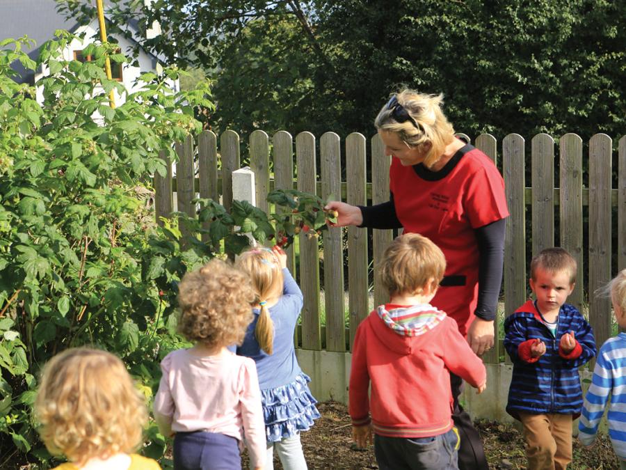 Carraig Briste, Enniscorthy, County Wexford.