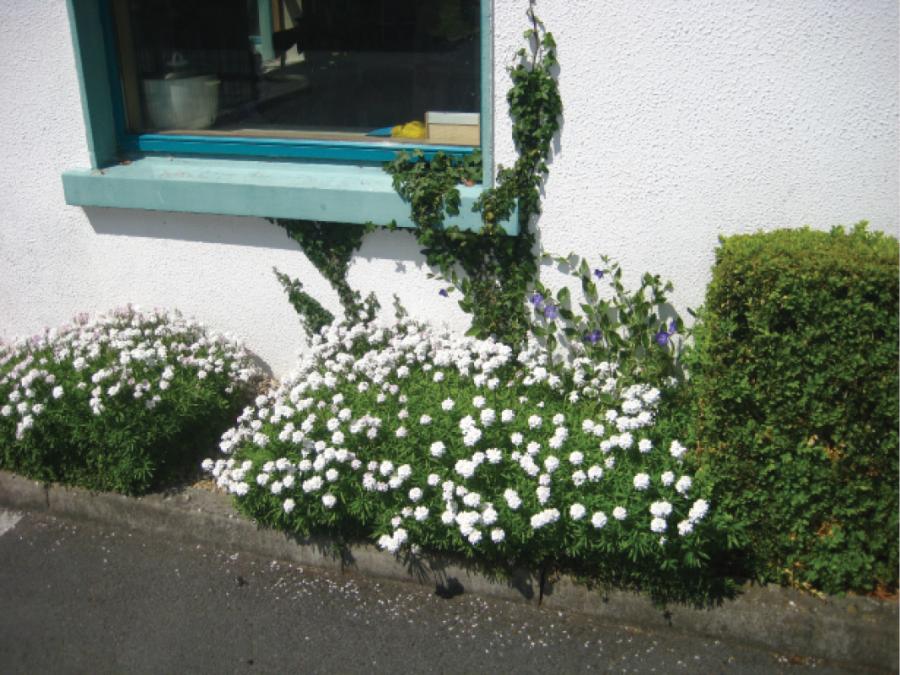 Ballindereen Community Childcare and Education Centre, Galway.