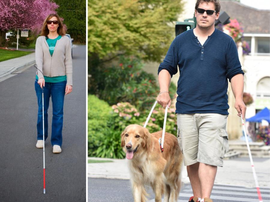 A person with visual difficulties may use a cane or a guide dog.