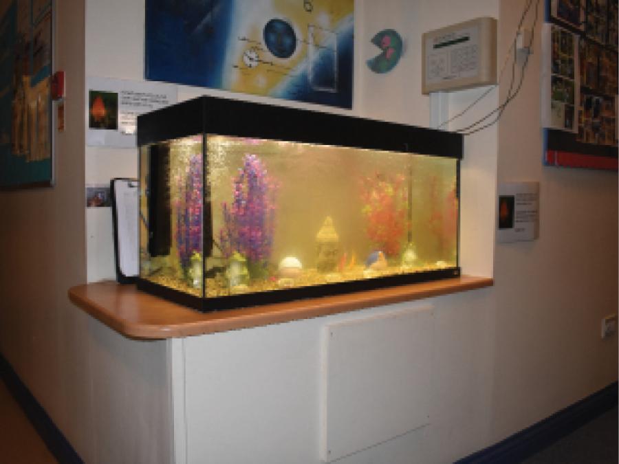 Tigers Childcare, Blanchardstown, Dublin